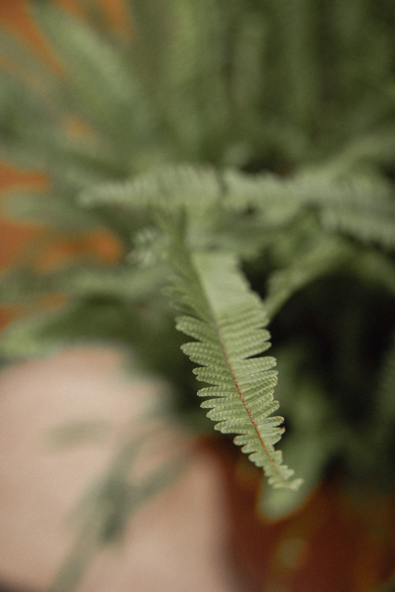 Preboda de Carlos y Nuria en el pueblo de Bocaitent en la Comunidad Valenciana realizada por Luis Hernández fotógrafo de bodas de Alcoy.